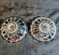 Anchor Hocking Candlestick Holders - "Boopie" Berwick - Set of 2